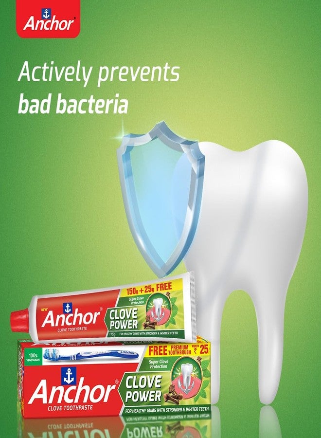 Anchor Clove Power Toothpaste - 175g | Pack of 3 | Free Toothbrush | Clove Oil Formula for Strong Teeth, Healthy Gums & Long-Lasting Freshness | Natural Oral Care Solution - Image 3